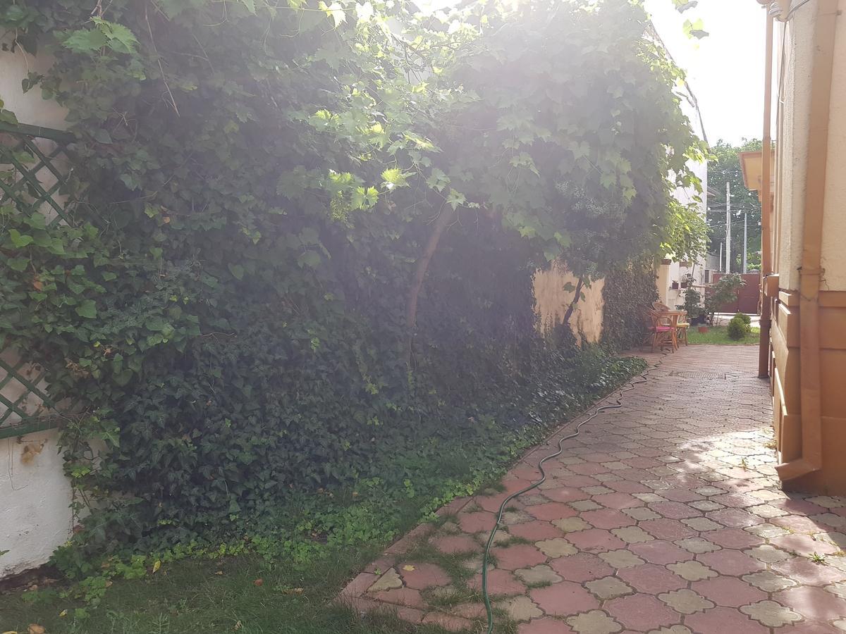 Casa Boiereasca Vandrehjem Craiova Eksteriør billede